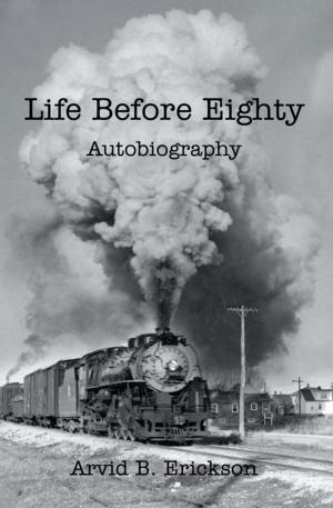 Cover of the book Life Before Eighty by Donna J. Bosn