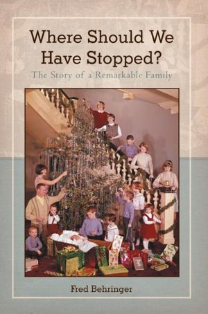 Cover of the book Where Should We Have Stopped? by John Stamos Parrish