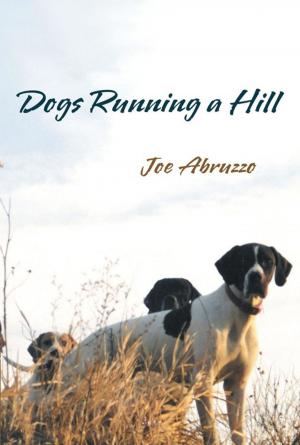 Cover of the book Dogs Running a Hill by Mimi B. Martinoski