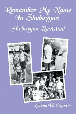Book cover of Remember My Name in Sheboygan - Sheboygan Revisited