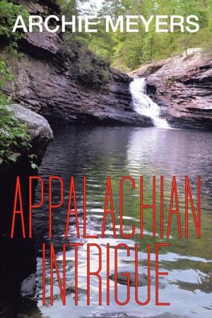 Cover of the book Appalachian Intrigue by Ashley Hengy