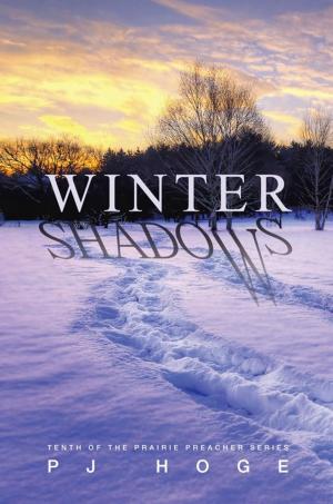 Cover of the book Winter Shadows by Ben D. Mahaffey