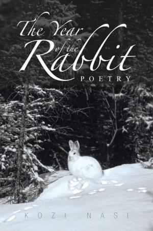 Cover of the book The Year of the Rabbit by Teddy Bart