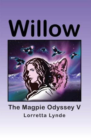 Cover of the book Willow by Jim Killen
