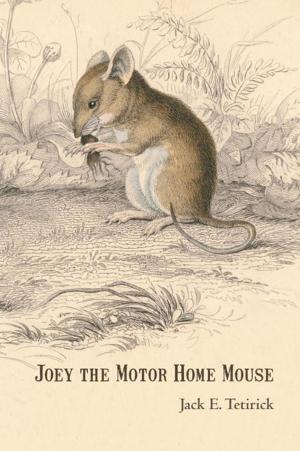 Cover of the book Joey the Motor Home Mouse by Elva Thompson