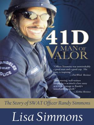 Cover of the book 41 D Man of Valor by Mary Robinson