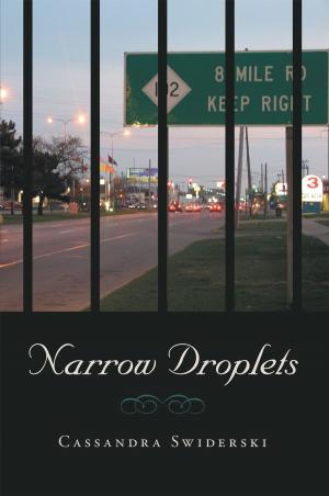 Cover of the book Narrow Droplets by Marjorie E. Dufault