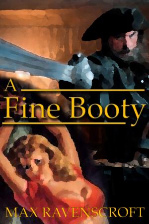 Cover of the book A Fine Booty by Max D