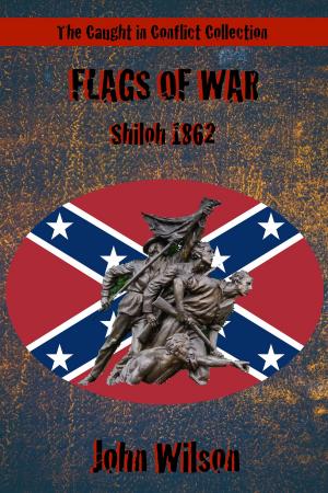 Cover of the book Flags of War: Shiloh, 1862 by Regina Jeffers