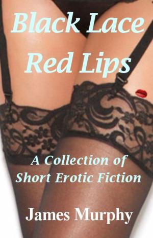 Book cover of Black Lace: Red Lips: A Collection of Short Erotic Fiction