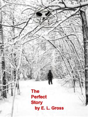 Cover of the book The Perfect Story by Allen Caraway