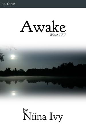 Cover of the book Awake by Rick Haynes