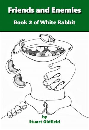Cover of the book Friends and Enemies (Book 2 of White Rabbit) by Rebekah Dodson