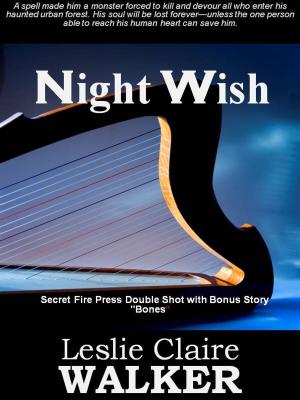 Cover of the book Night Wish by Cege Smith