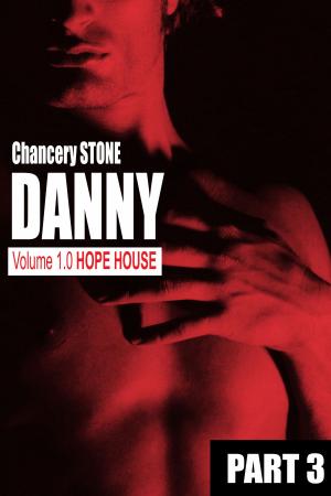 Cover of DANNY 1.0 Hope House: Part 3 by Chancery Stone, Poison Pixie Publishing