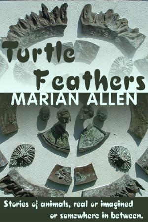 Book cover of Turtle Feathers