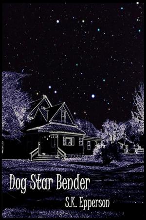 Cover of the book Dog Star Bender by M.J. Haag