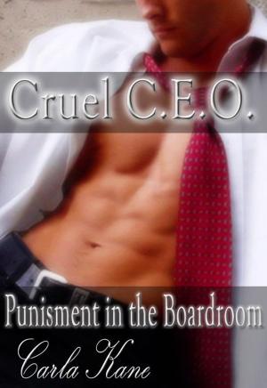 Cover of the book Cruel CEO: Punishment in the Boardroom by Carla Kane