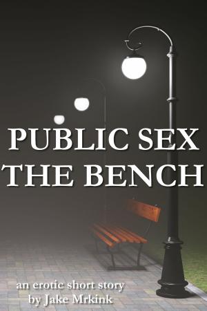 bigCover of the book Public Sex: the Bench by 