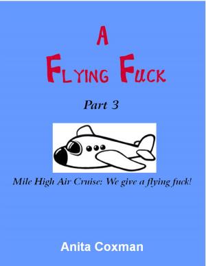 Cover of A Flying Fuck: Part 3