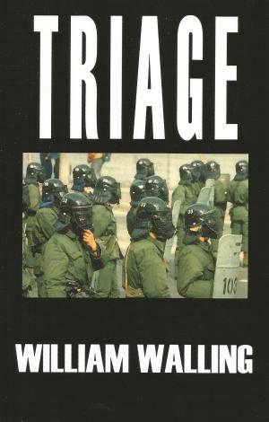 Cover of the book Triage by Holly Barbo
