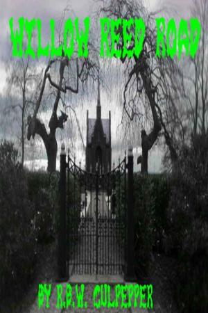 Book cover of Willow Reed Road