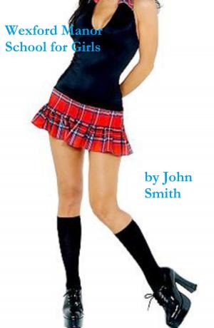 Cover of the book Wexford Manor- School for Girls by John Smith