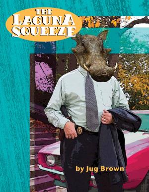 Book cover of The Laguna Squeeze