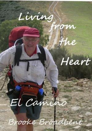Cover of the book Living from the Heart with Lessons from the Camino de Santiago by Luke Styles