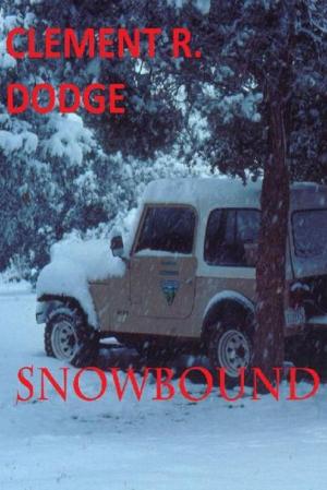 Cover of the book Snowbound by David Pardo