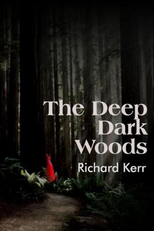 Book cover of The Deep Dark Woods