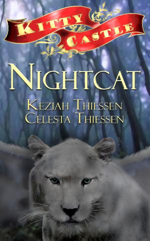 Book cover of Nightcat: Kitty Castle Series