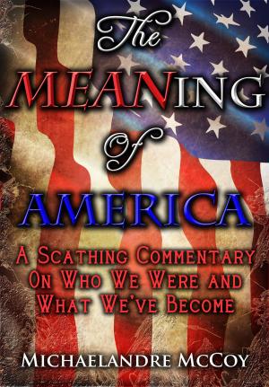 Cover of The MEANing of America