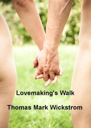 Book cover of Lovemaking's Walk