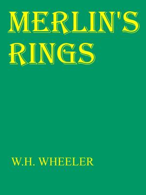 Cover of the book Merlin's Rings by Kat Cazanav