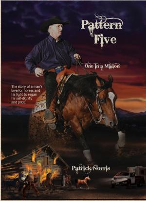 Cover of the book Pattern Five: One in a Million by Robert B Hopkins