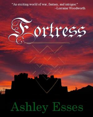 Cover of the book Fortress by S.P. Kaye