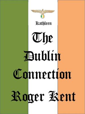 bigCover of the book The Dublin Connection by 