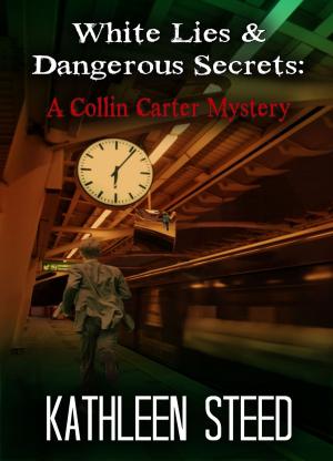 Cover of the book White Lies & Dangerous Secrets: A Collin Carter Mystery by Jonathan D. Lindley