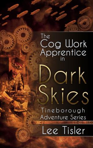 bigCover of the book The Cog Work Apprentice in Dark Skies (Steampunk action adventure) by 