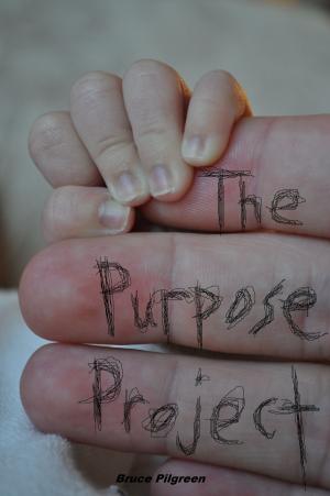 Cover of the book The Purpose Project by Beth Buelow