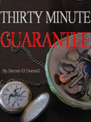 Cover of the book Thirty Minute Guarantee by Laura Franco