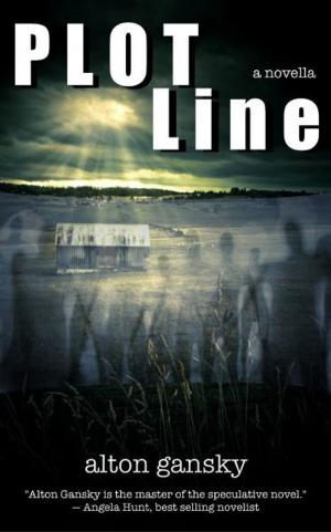 Cover of the book Plot Line by Silvia Gurrola Bonilla