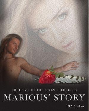 Cover of the book Marious' Story by Rebecca Brooke