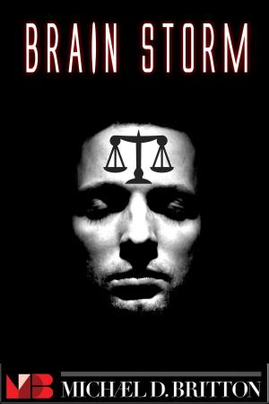 Cover of the book Brain Storm by Jon Frimann Jonsson