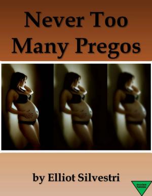 Cover of the book Never Too Many Pregos by Elliot Silvestri