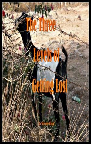 Cover of The Three Levels of Getting Lost