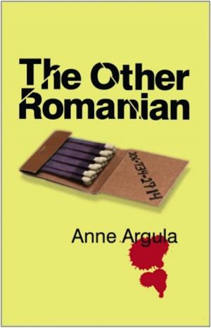 Cover of the book The Other Romanian by René Appel
