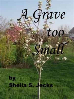 Book cover of A Grave Too Small