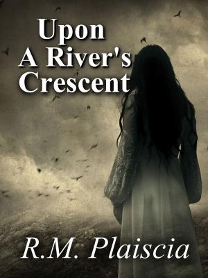 Book cover of Upon a River's Crescent (Volume 3 : The Hurricane Journals)